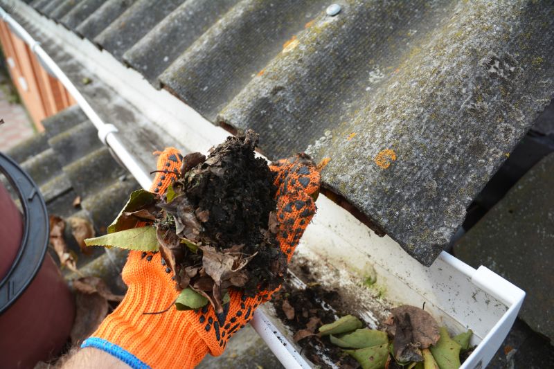 Clean and Maintained Gutters