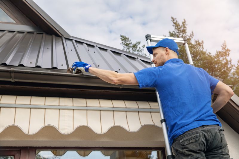 Gutter Maintenance Experts